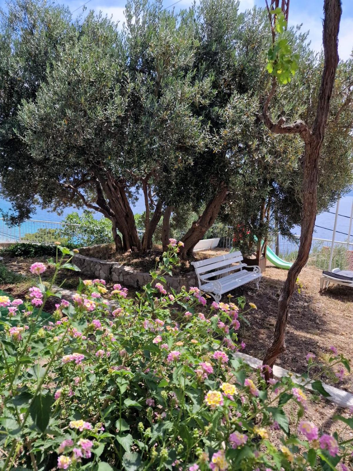Apartment Panorama - Amazing Sea View, Newly Renovated Dugi Rat Extérieur photo
